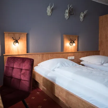 Hotel Landgasthof Zum Goldenen Anker Eggenstein-Leopoldshafen